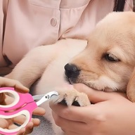 Zestaw do obcinania pazurów psa, kota, królika + pilnik – nożyczki i cążki