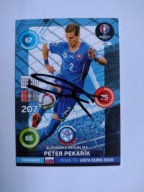 Karta panini autograf Słowacja Road to Euro 2016 Pekarik