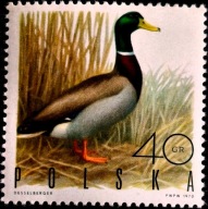 Fi. 1841 - 1848 Ptaki łowne.