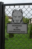 Tabliczka informacyjna uwaga zły pies Pitbull 20x20cm + Gratis breloczek