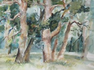 Las Akwarela Sabina Salamon 30 x40