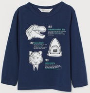 Bluzeczka dinozaury r.134/140 z H&M