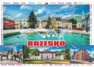 BRZESKO - RYNEK - FONTANNA - RZEŹBA - PAŁAC