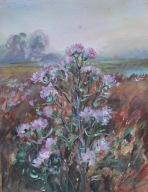 Trawy ,osty pejzaż ,kwiaty Akwarela Sabina Salamon 24x30