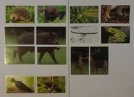 TWOJA PRZYGODA Z POLSKĄ PRZYRODĄ NAKLEJKI NA SZT.