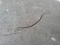 Antena Kabel myPhone Hammer Energy 18X9