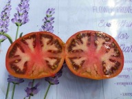 Pomidor Black See Men Chernomor 5 kg z krzaka nasiona kolekcjonerskie