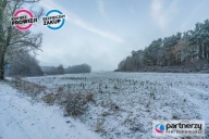 Działka, Mieroszyno, Puck, Pucki, 474964 m²