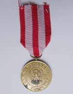 Medal ZWYCIĘSTWA i WOLNOŚCI - 4 typ - Mennica ?
