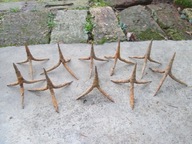 AUSTRO-WEGRY POTYKACZE TWIERDZA PRZEMYŚL-10 SZTUK