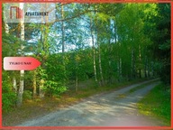 Działka, Stara Rzeka, Osie, Świecki, 3221 m²