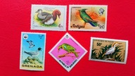 GRENADA i inne ptaki czyste**