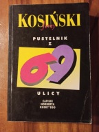 Pustelnik Z 69 Ulicy Jerzy Kosiński