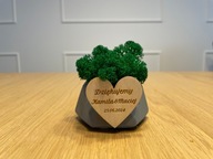 Doniczka z chrobotkiem mini, podziękowanie weselne