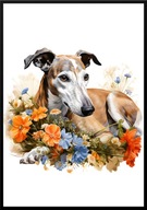 A2 PLAKAT PIES W KWIATACH RASA GREYHOUND, CHART