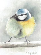 Ptak , ptaki , sikorka - akwarela z passe - partout