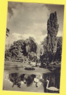 Karta Pocztowa - Pocztówka - 32