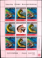 Ark. Skarby ziemi koszalińskiej - Szczupak.