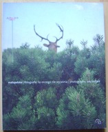 FOTOGRAFIA -MAŁOPOLSKA -FOTOGRAFIE,TO NICZEGO NIE WYJAŚNIA-album -wyd.2007