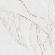 ANTICO GOLD GLOSSY POLER REKTYFIK EPICENTR 60*60 G1 m2 zamów