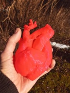 Ludzkie serce z drukarki 3D świecące w ciemności