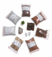 Zestaw dekoracyjny do hodowli mrówek. Podłoża Do Formikarium