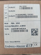 ENDRESS + HAUSER RIA250-A11R11