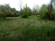 Działka, Rudniki, Rędziny, Częstochowski, 5019 m²