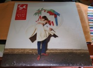 Sylvan Esso What Now Winyl