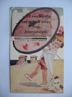 ABERYSTWYTH WIELKA BRYTANIA WALIA LEPORELLO przedwojenna POCZTÓWKA