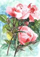 =KWIACIARNIA= Obraz =martwa natura=KWIATY=akwarela=