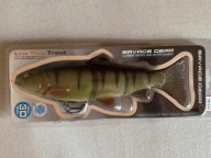 Savage Gear Line Thru Trout 25cm 3D