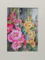 Akwarela pt. Malwy 88