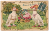 Gołębie Uczłowieczone Rodzina Kapelusze ok.1910r. LITOGRAFIA Tłoczona