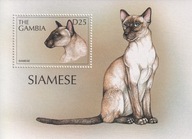 Gambia 1997 ** cena 8,90 zł kat.6€ - fauna, koty