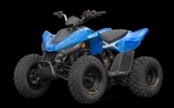 Linhai Inny Quad Linhai 110 Junior Benzyna