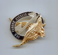 Odznaka pilota (dwuczęściowa)