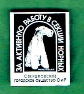 Pies- Foksterier - Za wzorową pracę z norowcami