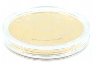 POLONEZ Numizmat moneta Kultowy samochód Polski Polonez