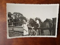 II RP Liberyszki Litwa stadnina koń 1937 (1285)