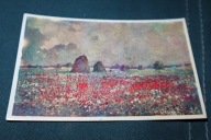 POLE , SNOPKI , MAKI