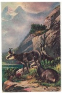 10-ŁW17- Kozica górska- 1919r