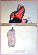 POCZTÓWKA - ANNE GEDDES - fotografia artystyczna 1999 "Monarch Butterfly"