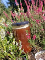 Miód WRZOSOWY 1kg ZBIÓR 2025r Pasieka U Antosia