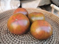 Pomidor Dwarf Copperhead nasiona kolekcjonerskie