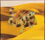 CD Django Django - Django Django