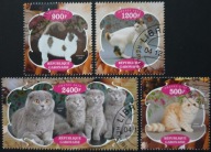 T.0271 SERIA FAUNA SSAKI KOTY DOMOWE GATUNKI RASY, zwierzęta domowe