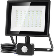 Halogen biały 4300 lm 50 W