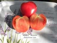 Pomidor Kardynał Mazarini pyszne bawole serce nasiona kolekcjonerskie