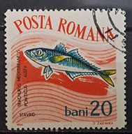 Ryby (kas) - luzak - do uzupełnień 13/6